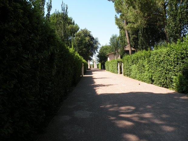  allée du parc de la Villa Médicis